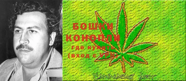 тгк Касимов