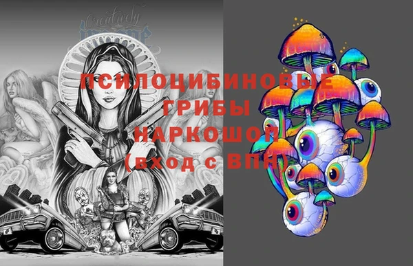 тгк Касимов