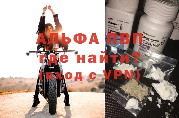 тгк Касимов