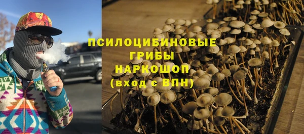 mdpv Карпинск