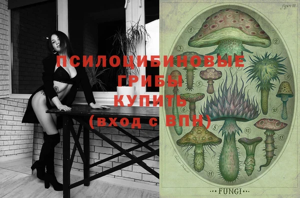 тгк Касимов
