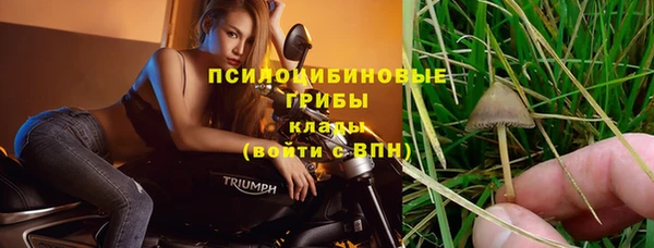 mdpv Карпинск